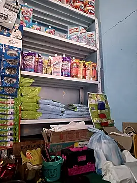 Lorenasex online show from February 2026 11:50:02 AM