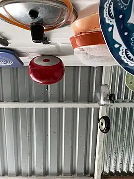 Axel-Mejia online show from March 2026 07:01:01 PM