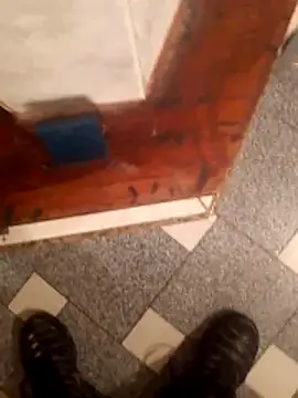 vergonvenco online show from March 2026 05:44:01 AM