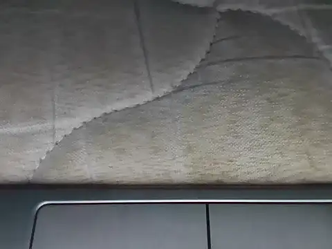 Lux y online show from November 2025 01:49:01 AM