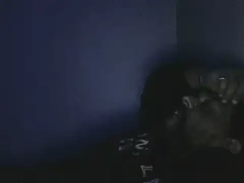 elpoop7305 online show from October 2025 12:57:02 AM