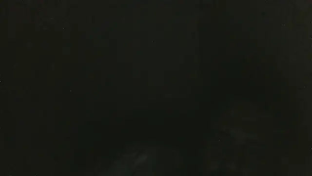 elpoop7305 online show from March 2026 02:13:01 AM