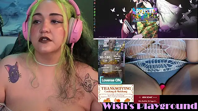 nevermakeawish online show from November 2025 02:17:02 PM