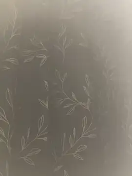 SomeWhatFoxyX online show from February 2026 07:36:01 PM