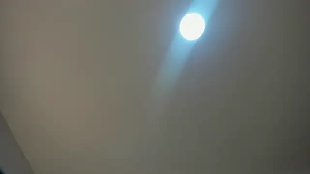 Snapshot of VioletRose_as chatting on November 2025 08:09:02 PM VioletRose as online show from November 2025 08:09:02 PM