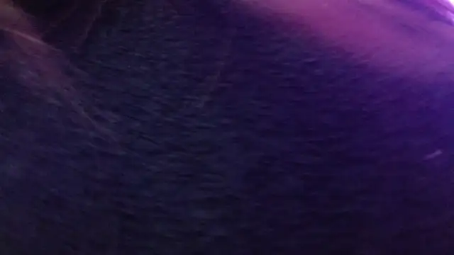 Annie switt online show from April 2026 04:19:01 AM