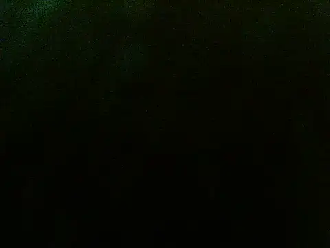 Snapshot of anapaulaa chatting on November 2025 11:47:01 AM anapaulaa online show from November 2025 11:47:01 AM