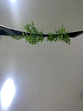 CharlotteBrownn  online show from October 2025 03:17:01 AM