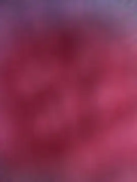 Funny Karina online show from November 2025 10:18:01 AM