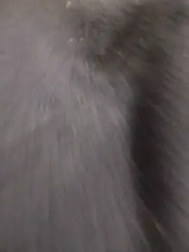 Funny Karina online show from December 2025 06:36:02 PM