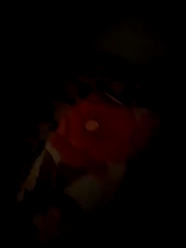 Snapshot of tyteo1010 chatting on December 2025 03:01:02 PM tyteo1010 online show from December 2025 03:01:02 PM