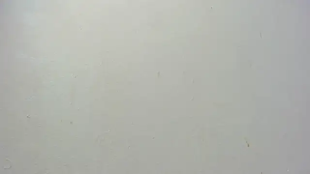 dominic de luca online show from November 2025 02:38:02 AM