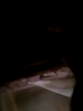 CoMay003 online show from February 2026 01:40:01 AM