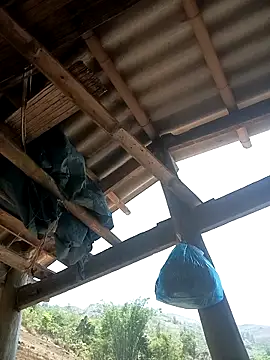 CoMay003 online show from April 2026 04:49:01 AM