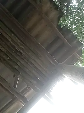 CoMay003 online show from April 2026 05:25:01 AM