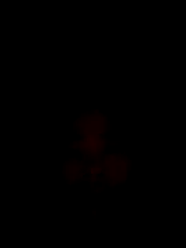 Snapshot of CoMay003 chatting on December 2025 12:16:02 AM CoMay003 online show from December 2025 12:16:02 AM