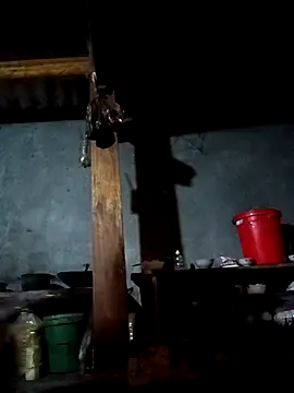 CoMay003 online show from February 2026 12:00:02 AM