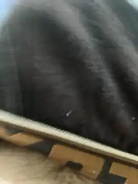 Bio-teacher online show from April 2026 07:59:01 PM