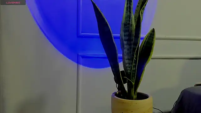 Snapshot of Ice_Princess_ chatting on October 2025 04:38:01 AM Ice Princess online show from October 2025 04:38:01 AM