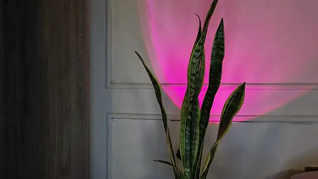 Snapshot of Ice_Princess_ chatting on October 2025 05:20:01 AM Ice Princess online show from October 2025 05:20:01 AM