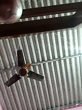 Snapshot of Cute-Swewty chatting on November 2025 02:53:01 PM Cute-Swewty online show from November 2025 02:53:01 PM