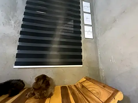 wild apple69 online show from December 2025 07:25:02 AM