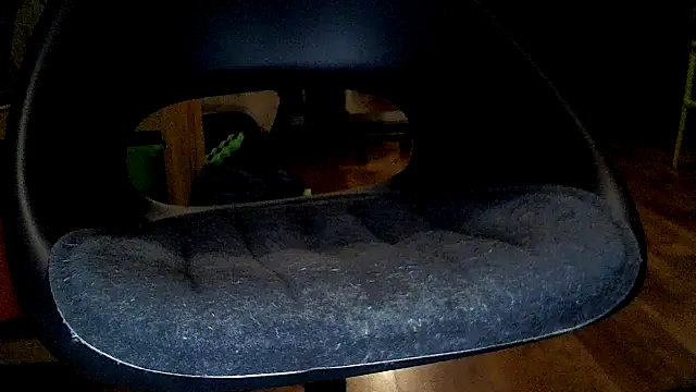 TobyDick13 online show from January 2026 11:30:02 PM