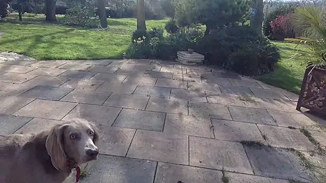 3615-ULLA online show from March 2026 02:32:02 PM