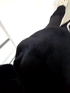 Snapshot of aloan_Tk chatting on April 2026 12:34:02 AM aloan Tk online show from April 2026 12:34:02 AM