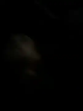 Snapshot of high3ndlowlife chatting on November 2025 02:12:01 AM high3ndlowlife online show from November 2025 02:12:01 AM