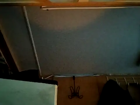 Snapshot of high3ndlowlife chatting on December 2025 05:50:02 PM high3ndlowlife online show from December 2025 05:50:02 PM