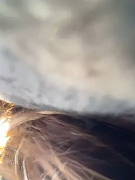   BabyShowPublic   online show from March 2026 09:21:01 AM