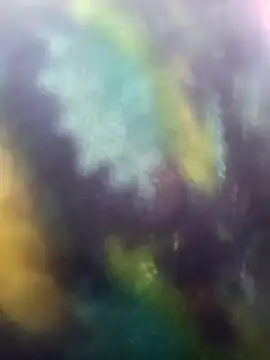 Juhi chawla online show from November 2025 09:01:01 AM