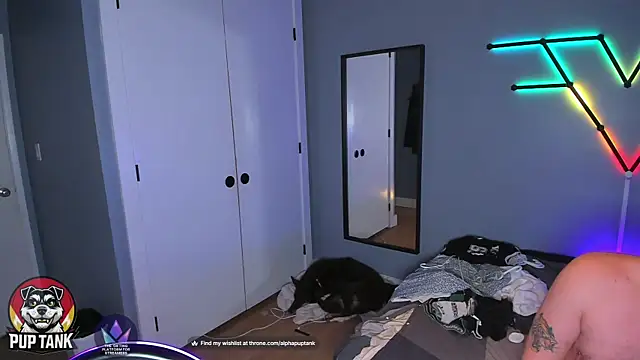 puptank online show from November 2025 07:51:02 AM