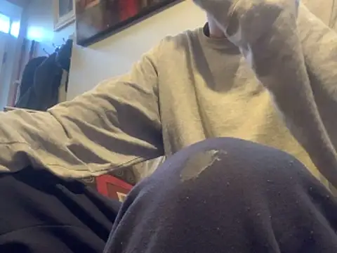 Insurance-03 online show from November 2025 07:24:02 PM