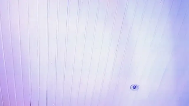 novaross online show from October 2025 08:09:02 PM