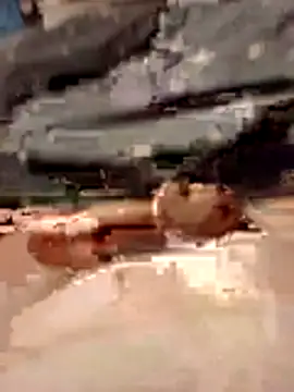 Anonimek942 online show from November 2025 11:49:02 PM