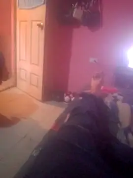 Snapshot of shessAz chatting on February 2026 03:09:01 PM shessAz online show from February 2026 03:09:01 PM