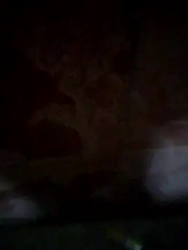 Snapshot of shessAz chatting on April 2026 11:17:01 AM shessAz online show from April 2026 11:17:01 AM