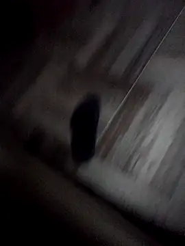 Girls add snap srdjanbgd online show from November 2025 06:28:02 AM