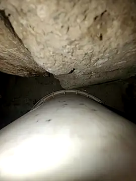 Snapshot of princexdcs chatting on February 2026 09:14:01 PM princexdcs online show from February 2026 09:14:01 PM