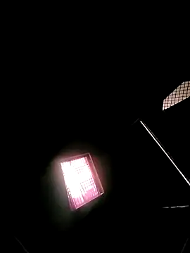 Snapshot of princexdcs chatting on February 2026 10:56:01 AM princexdcs online show from February 2026 10:56:01 AM