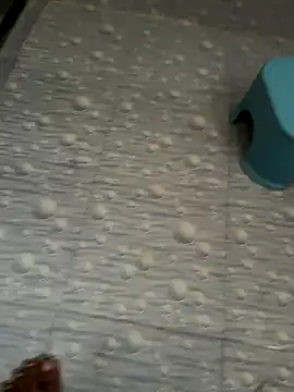 Snapshot of NoddingScorpion chatting on October 2025 03:26:01 AM NoddingScorpion online show from October 2025 03:26:01 AM