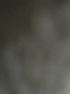 NoddingScorpion online show from December 2025 08:35:02 AM