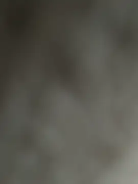 NoddingScorpion online show from December 2025 08:36:01 AM