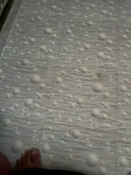 Snapshot of NoddingScorpion chatting on November 2025 03:22:01 AM NoddingScorpion online show from November 2025 03:22:01 AM