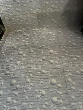 NoddingScorpion online show from December 2025 08:26:01 AM