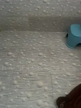 NoddingScorpion online show from March 2026 05:08:01 AM