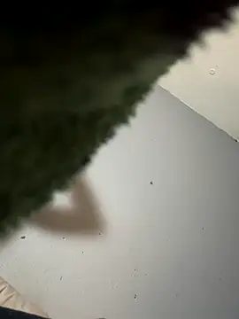 StoneyCam online show from November 2025 05:22:02 AM