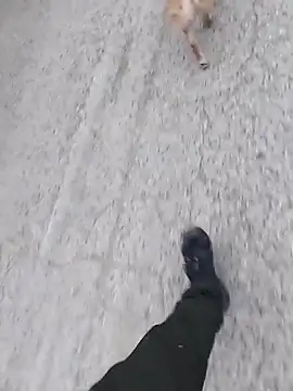 Axelitoc online show from March 2026 06:10:02 AM